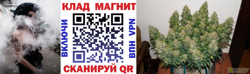 Где купить Лениногорск Alpha-PVP  Меф  ГАШ  Каннабис  Cocaine 