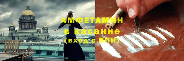 крисы Кулебаки