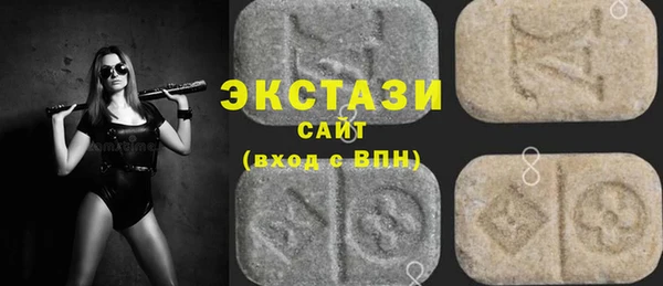крисы Кулебаки