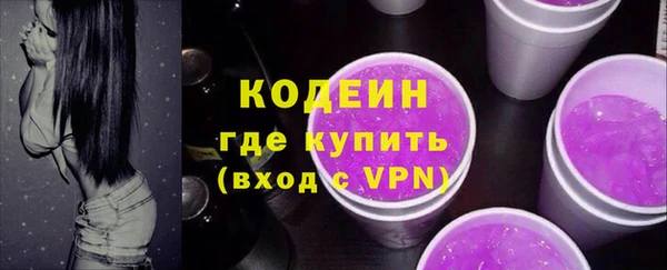 крисы Кулебаки