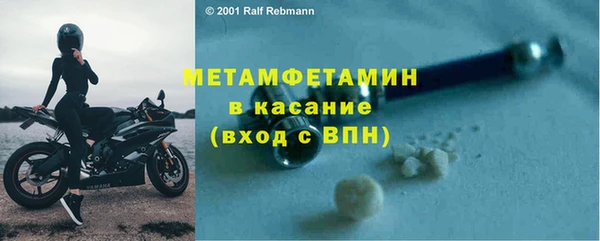 крисы Кулебаки