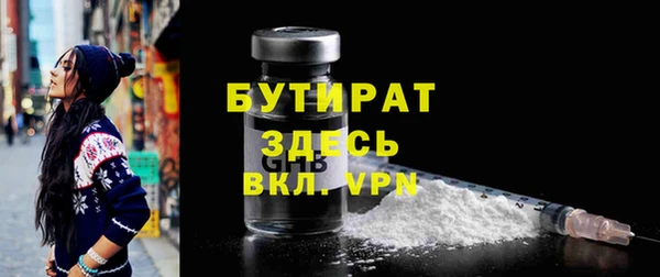 крисы Кулебаки