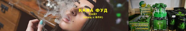 крисы Кулебаки