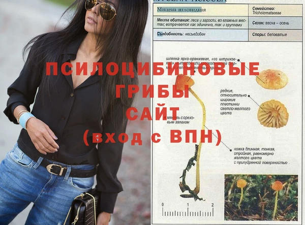 гашишное масло Ладушкин