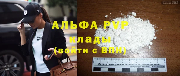 молекула духа Костерёво