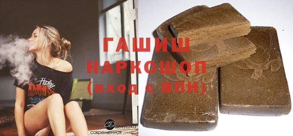 крисы Кулебаки