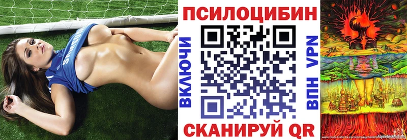 Псилоцибиновые грибы Magic Shrooms  Лениногорск 
