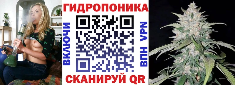 Шишки марихуана Ganja  Лениногорск 